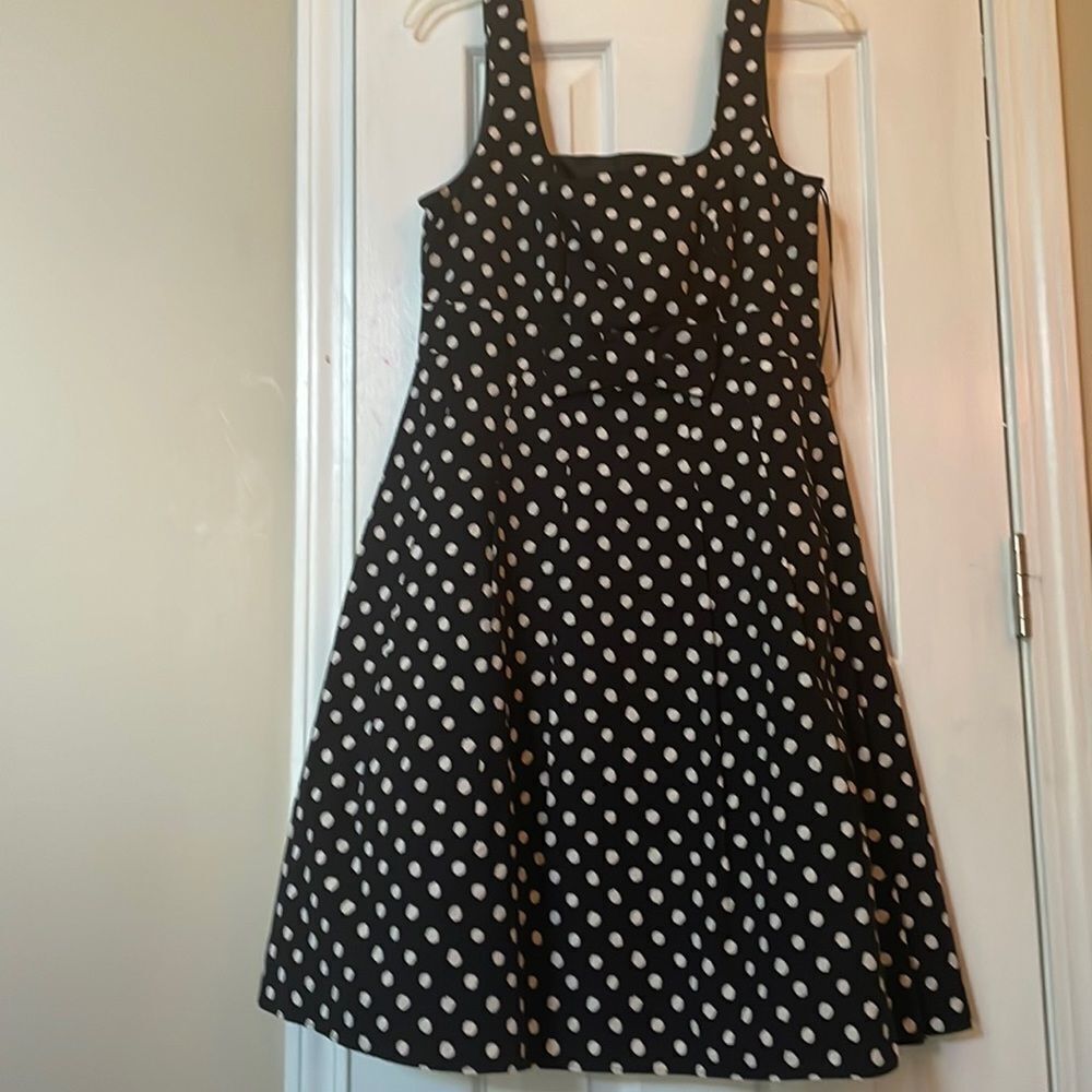 Zara Black and white polka dot dress